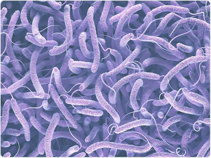 Description: https://www.kiyoi.com/wp-content/uploads/2019/12/Vibrio-cholerae-bacteria-150x150.jpg